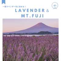 山梨県・河口湖周辺のおすすめスポット！