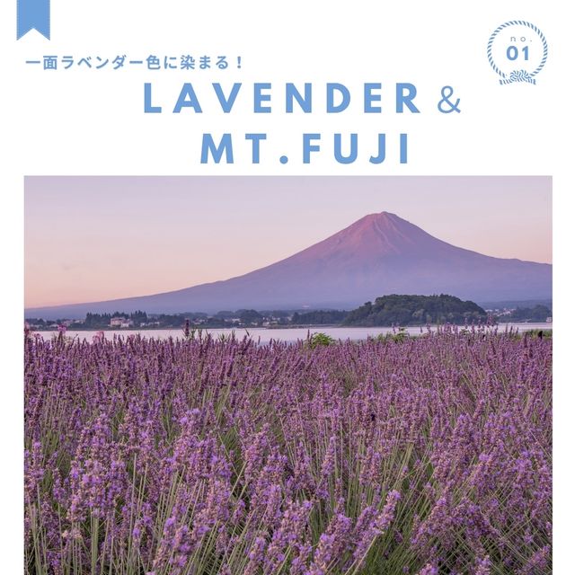 山梨県・河口湖周辺のおすすめスポット！