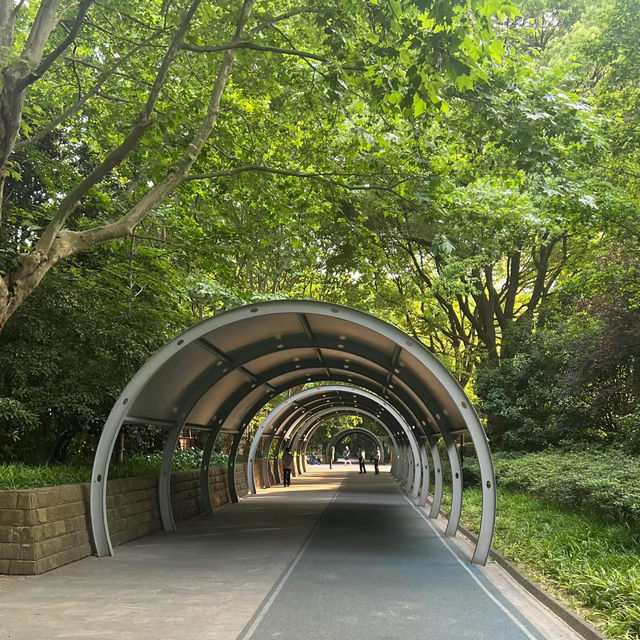 深圳中心公園：現代藝術、環保理念，多元化活動空間