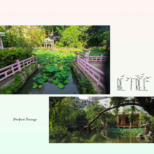 夏日盧園觀景