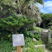 【高知県】四国最南端の絶景！足摺岬をご紹介