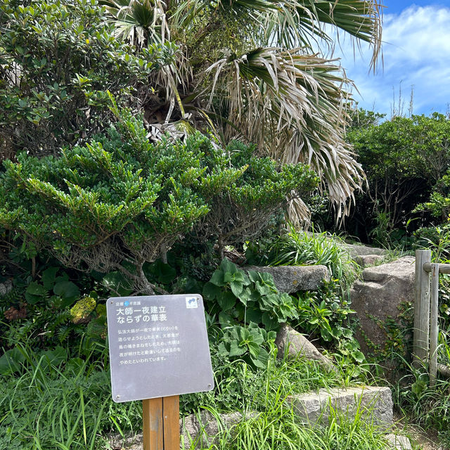 【高知県】四国最南端の絶景！足摺岬をご紹介