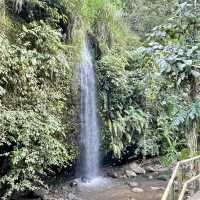 Goa Raja瀑布-別有洞天的巨大瀑佈，冒險型旅行者必去