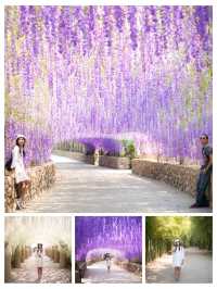 พิกัดน่าเที่ยวตัวเมืองเชียงราย