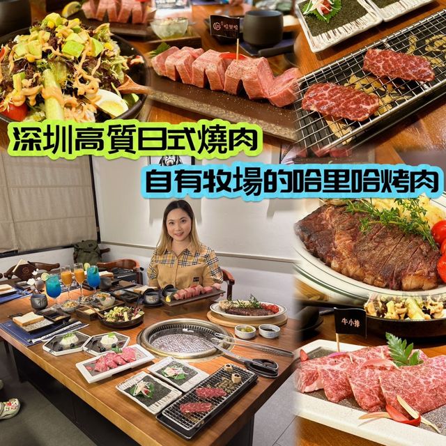 深圳高質燒肉