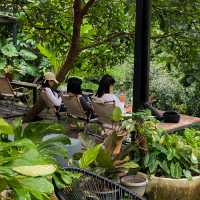 คาเฟ่ภูเก็ต