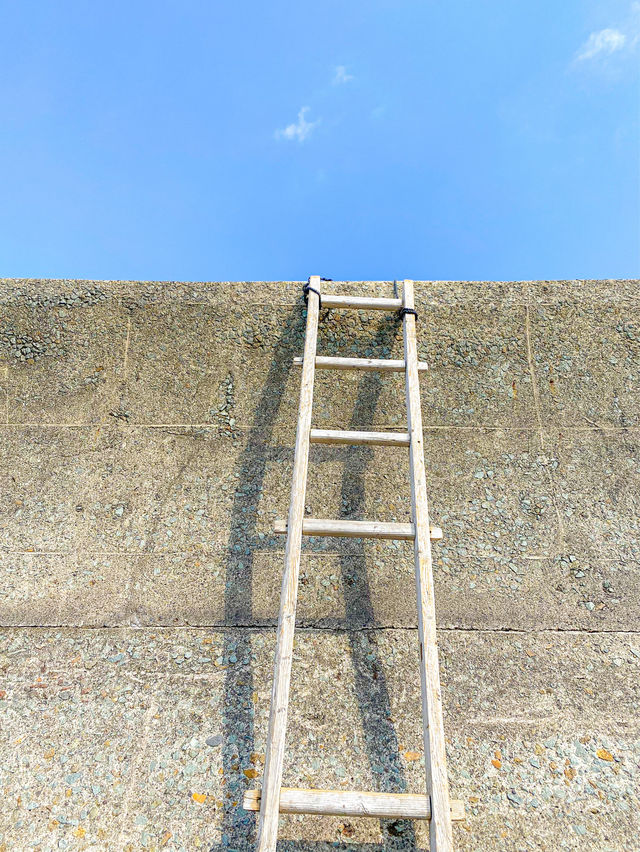 【鹿児島 指宿】秘密にしておきたい穴場絶景スポット👀