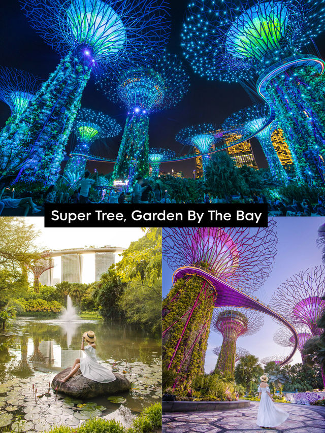 สิงคโปร์วันเดียวก็เที่ยวได้ รวม 6 พิกัดฮิตห้ามพลาด