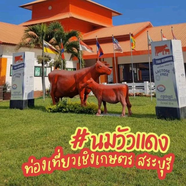 🐮 นมวัวแดง พาลูกเที่ยวเกษตร ธรรมชาติ สระบุรี 