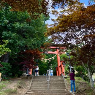 Experience the Charm of Arakurayama Sengen Park! 🌸⛩️