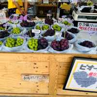 Fukuoka Selfdrive Fruit Farm & Mount Aso Summer Trip