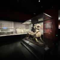 I Took 3 Flights to reach Zhengzhou Just to Experience the Splendor of the Henan Museum!