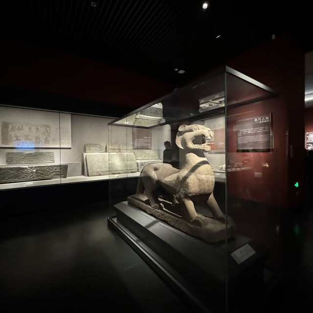 I Took 3 Flights to reach Zhengzhou Just to Experience the Splendor of the Henan Museum!