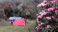 Manaslu Circuite  Trekking 