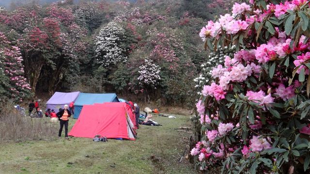Manaslu Circuite  Trekking 