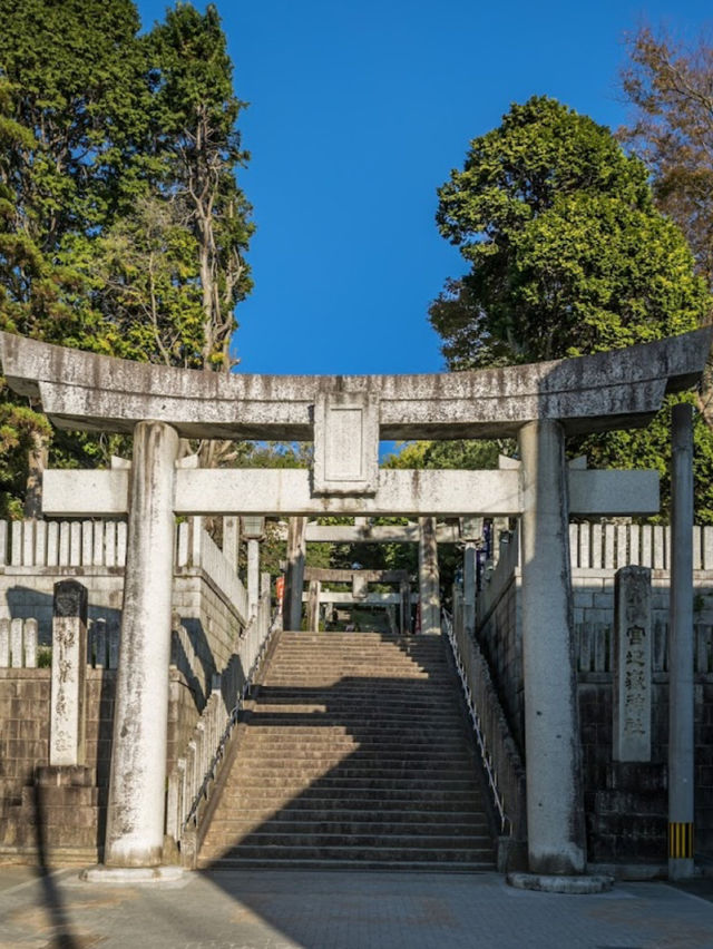 【夏まつり】福岡の観光名所としても名高い神社の夏まつり