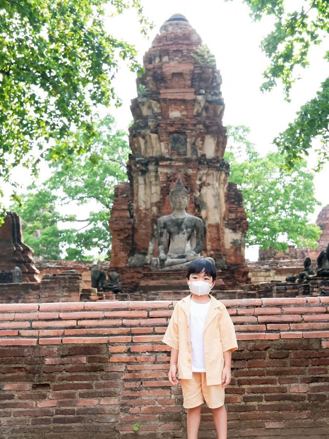 ขี่ช้างชมเมือง เดินเที่ยวโบราณสถานที่อยุธยา 