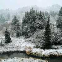 Ginzanso | Stunning View Japanese Traditonal Onsen Hotel