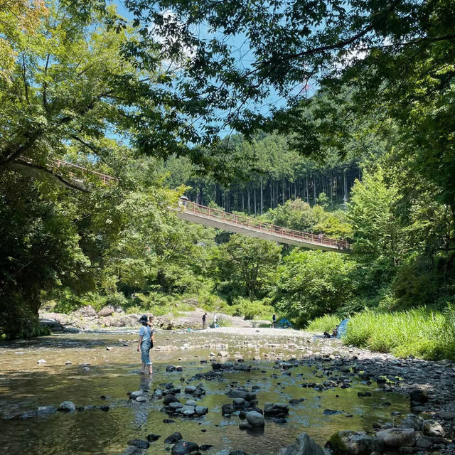 「等等力溪谷公園～感受大自然的壯闊」