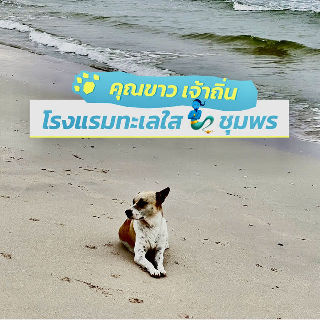 หัวใจใสใส 🩵🩷 ณ ทะเลใส  ชุมพร