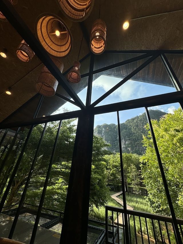 📍🥤Into The Forest กระบี่