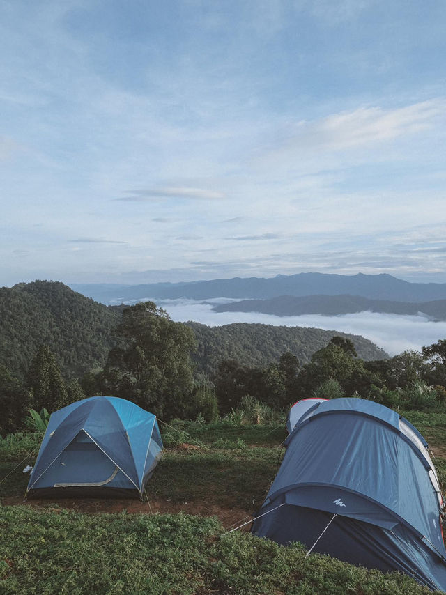 แคมป์ปิ้ง ชมทะเลหมอก ☁️🏕️ ม่อนเงาะ 