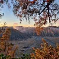 Amazing Sight at Mt Bromo