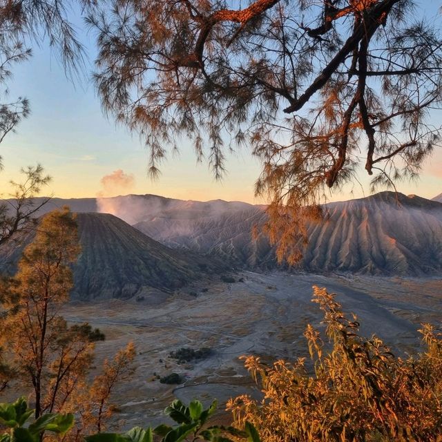 Amazing Sight at Mt Bromo