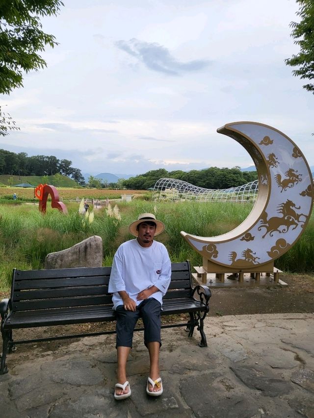 백일홍 만개한 힐링 경주여행지