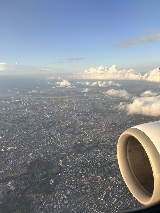 📍JAL491搭乗記