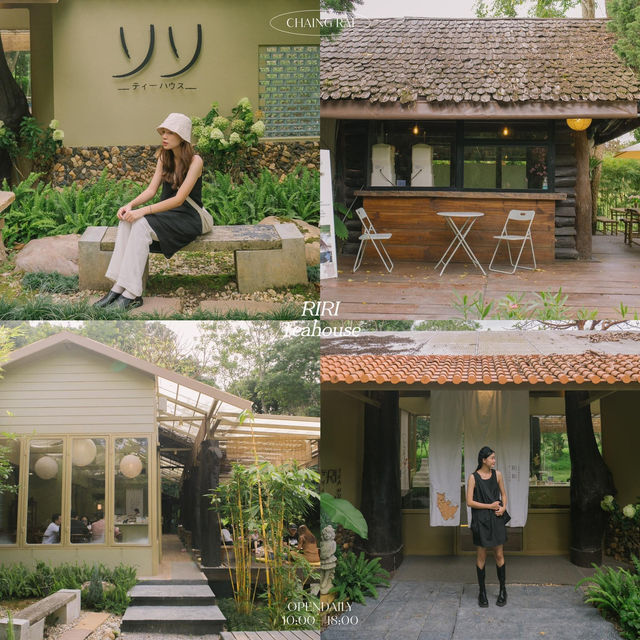 12 คาเฟ่ ‘เชียงราย’ เที่ยวได้ทุก season! 🫶🏻🥯🍨✨