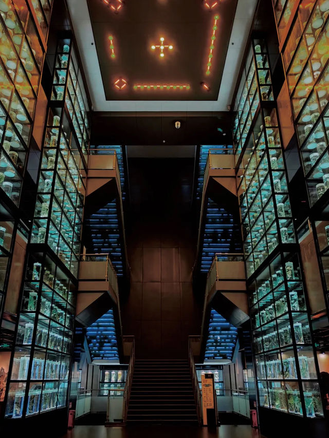 廣東中醫藥博物館