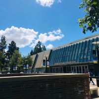 미국의 캠퍼스 생활을 느낄 수있는 , UCLA 대학교🏫