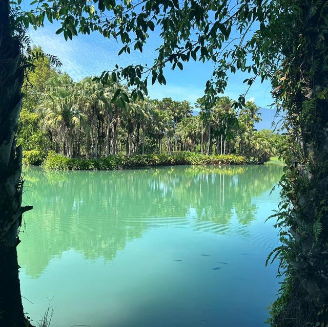 中興湖🎋城市綠洲