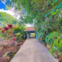 Maui, Hawaii: Paradise in the Pacific
