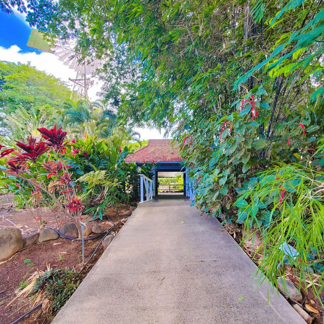 Maui, Hawaii: Paradise in the Pacific