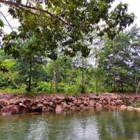 🇲🇾 Refresh Your Senses at Kota Tinggi Waterfall