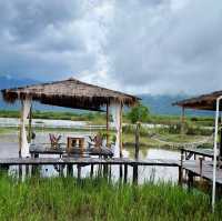 คาเฟ่ชิดภู พักสายตาวิวทุ่งนา360องศา #ลาวใต้