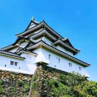 快閃和歌山