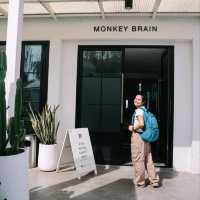 เที่ยวระนอง ชวนมานอนกับพี่ลิง Blu Monkey 