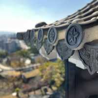 樂而忘返嘅九州之旅🥳