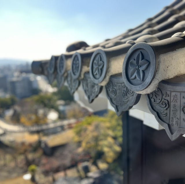 樂而忘返嘅九州之旅🥳