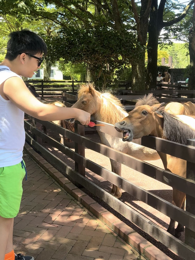 近距離餵動物嘅難忘體驗 