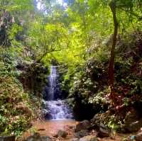 Jungle Trekking for the Adventurous Backpacker