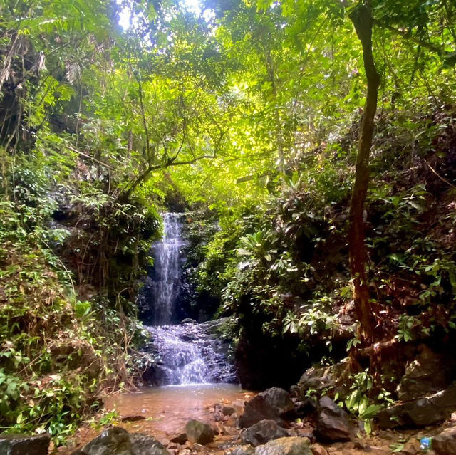 Jungle Trekking for the Adventurous Backpacker