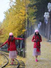Essential Travel Checklist for an Autumn Adventure to Nami Island
