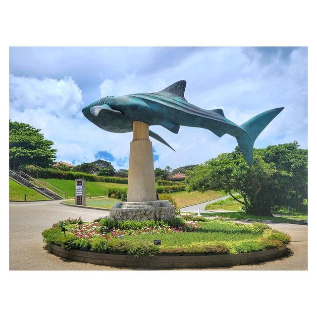 沖繩美麗海水族館：探索海洋的奇幻世界準備好潛入沖繩美麗海水族館的奇幻海洋世界吧！ 