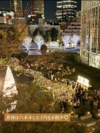 〜東京都〜MAP付！カップルで東京クリスマス旅行攻略！✨
