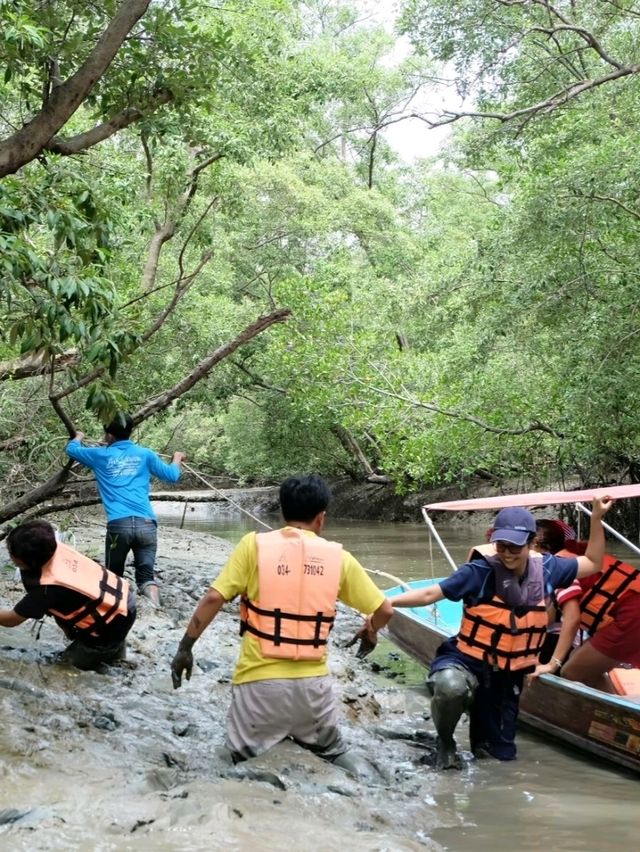 นั่งเรือปลูกป่าชายเลนที่คลองโคนกัน