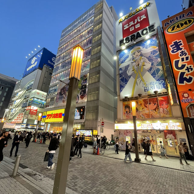 Sotokanda: The Electric Soul of Akihabara’s Tech and Pop Culture Paradise